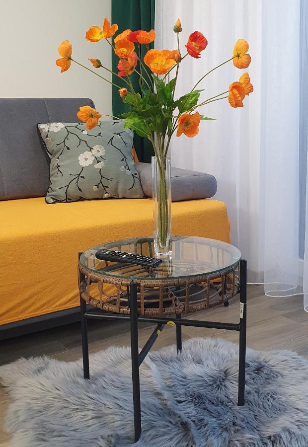Apartment Diamond Rakowicka *